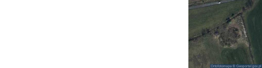 Zdjęcie satelitarne Stare Drzewce ul.