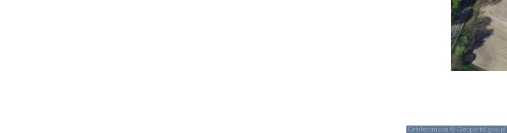 Zdjęcie satelitarne Stare Rowiska ul.