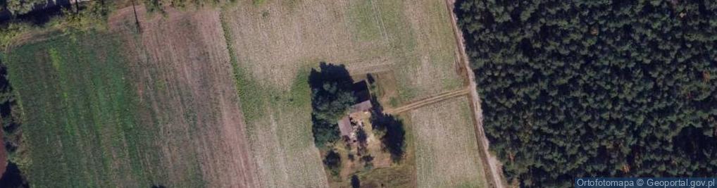 Zdjęcie satelitarne Stare Rybitwy ul.