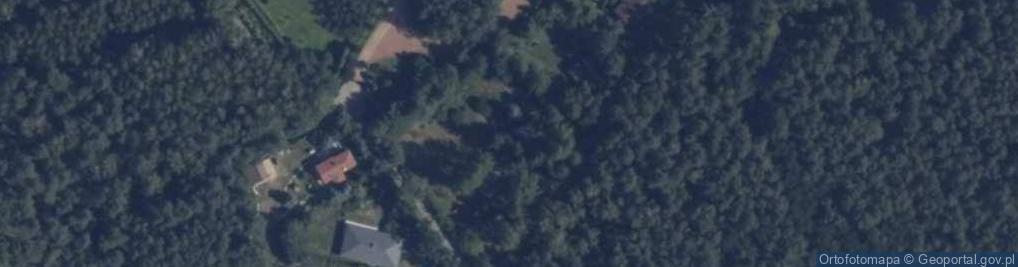 Zdjęcie satelitarne Stare Skoszewy ul.