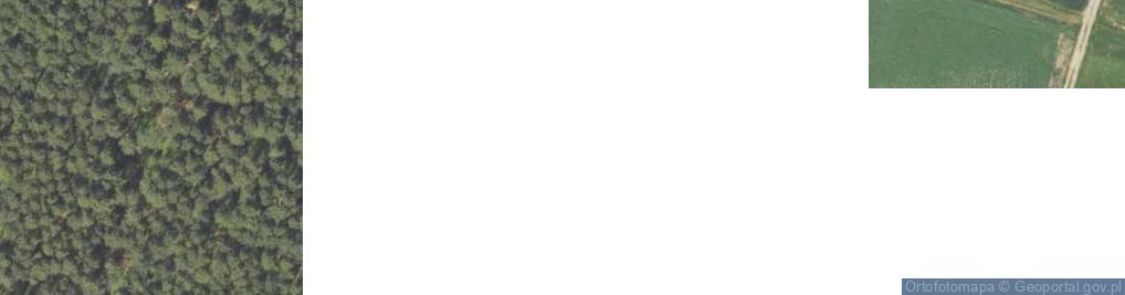 Zdjęcie satelitarne Stare Wykno ul.