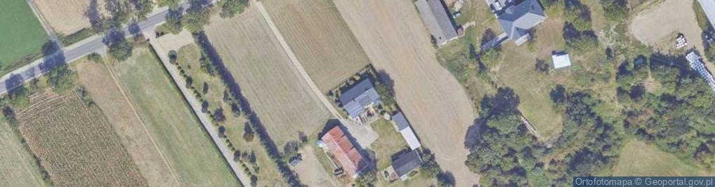 Zdjęcie satelitarne Starorypin Rządowy ul.