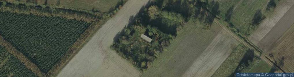 Zdjęcie satelitarne Stary Borowiec ul.
