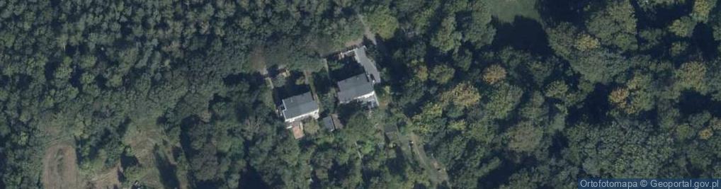 Zdjęcie satelitarne Stary Bukowiec ul.