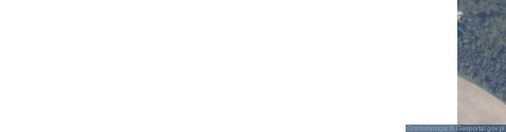 Zdjęcie satelitarne Stary Bukowiec ul.