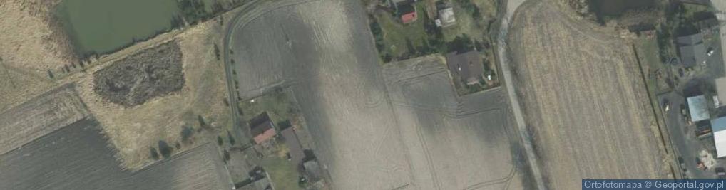 Zdjęcie satelitarne Stary Drzewicz ul.