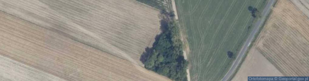Zdjęcie satelitarne Stary Miastków ul.