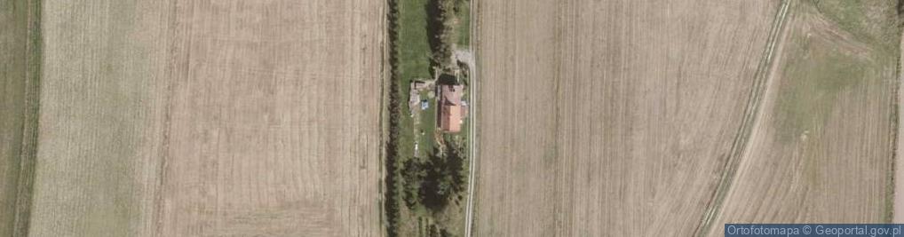 Zdjęcie satelitarne Stary Waliszów ul.