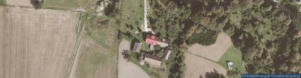 Zdjęcie satelitarne Stary Waliszów ul.