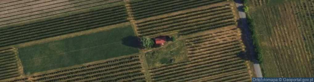 Zdjęcie satelitarne Stary Wylezin ul.