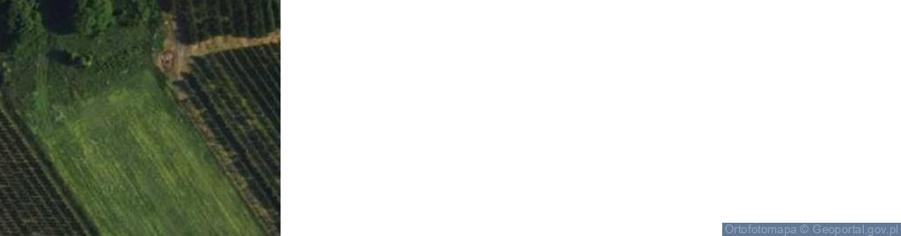 Zdjęcie satelitarne Stary Wylezin ul.