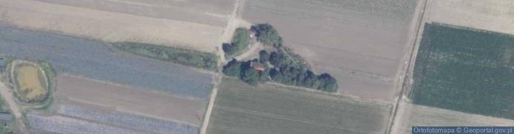 Zdjęcie satelitarne Stawy ul.
