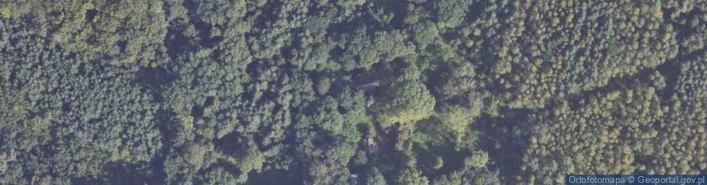 Zdjęcie satelitarne Stefanówek ul.