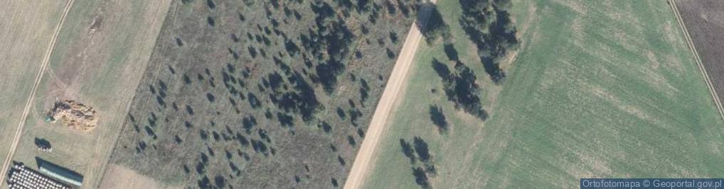 Zdjęcie satelitarne Stęszewicka ul.