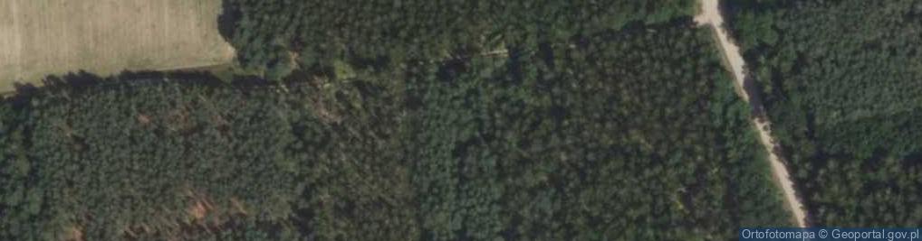 Zdjęcie satelitarne Stołbce ul.