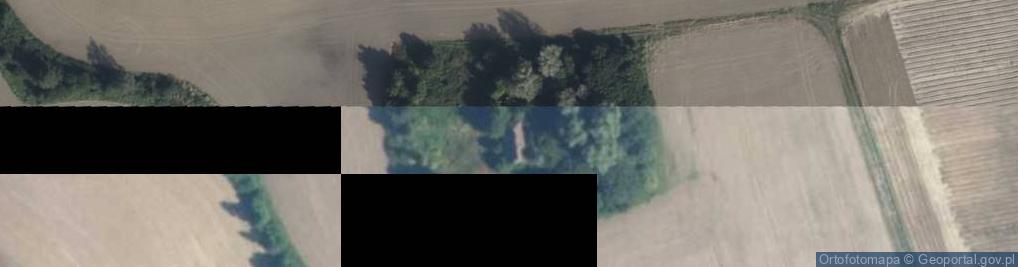 Zdjęcie satelitarne Stramniczka ul.