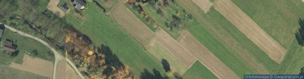 Zdjęcie satelitarne Stróże ul.
