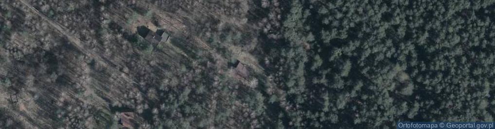 Zdjęcie satelitarne Strugi Krzywickie ul.