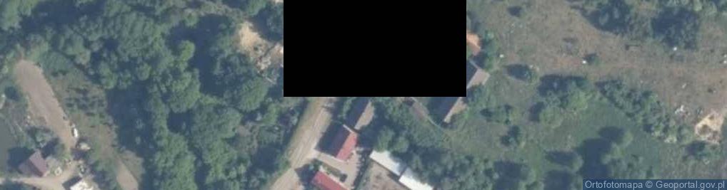 Zdjęcie satelitarne Strzaliny ul.