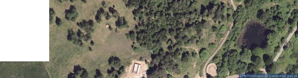 Zdjęcie satelitarne Strzebowiska ul.