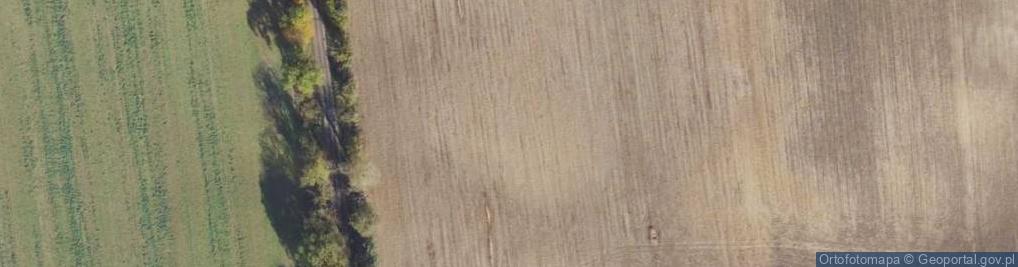 Zdjęcie satelitarne Strzelewo ul.