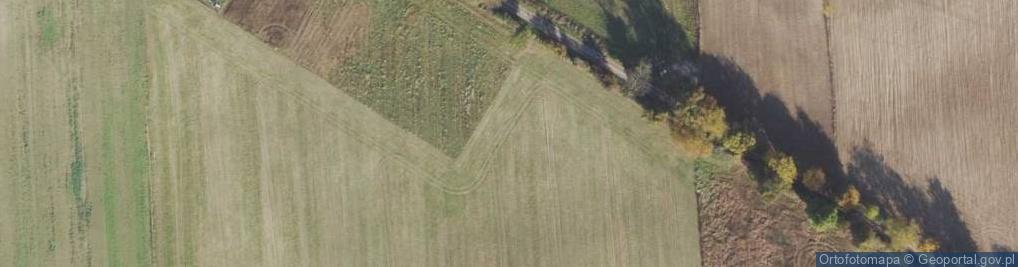 Zdjęcie satelitarne Strzelewo ul.