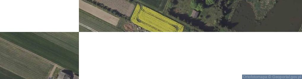 Zdjęcie satelitarne Strzeszkowice Duże ul.