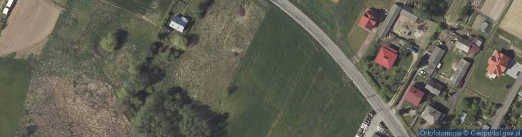 Zdjęcie satelitarne Strzeszkowice Duże ul.
