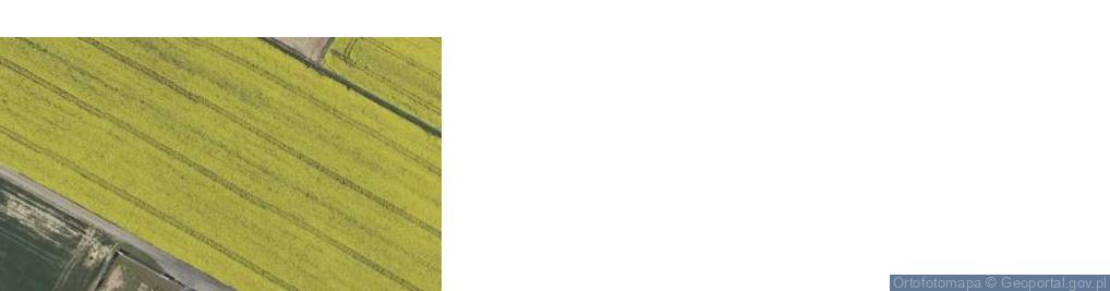 Zdjęcie satelitarne Strzeszkowice Duże ul.