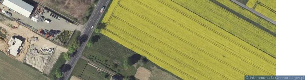 Zdjęcie satelitarne Strzeszkowice Duże ul.