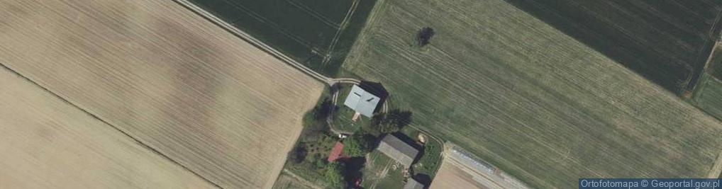 Zdjęcie satelitarne Strzeszkowice Duże ul.