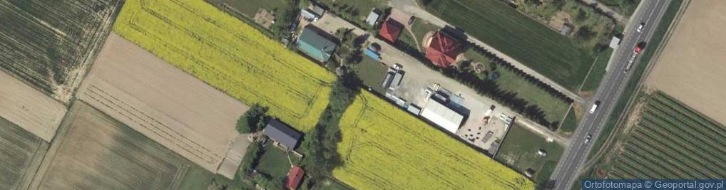 Zdjęcie satelitarne Strzeszkowice Duże ul.