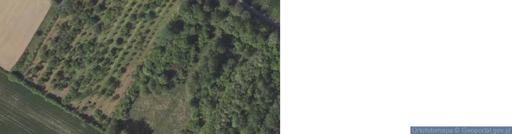 Zdjęcie satelitarne Strzeszkowice Duże ul.