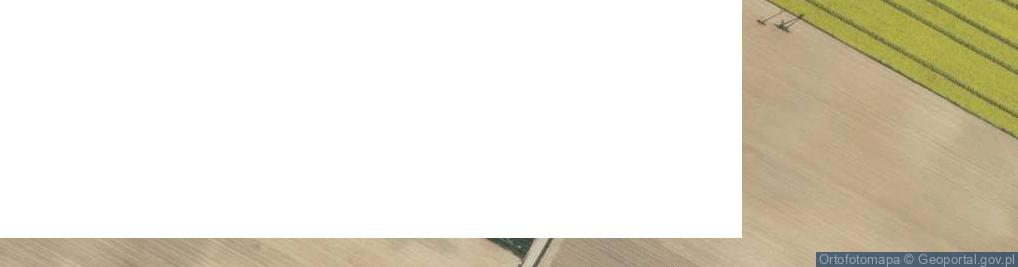 Zdjęcie satelitarne Strzeszkowice Duże ul.