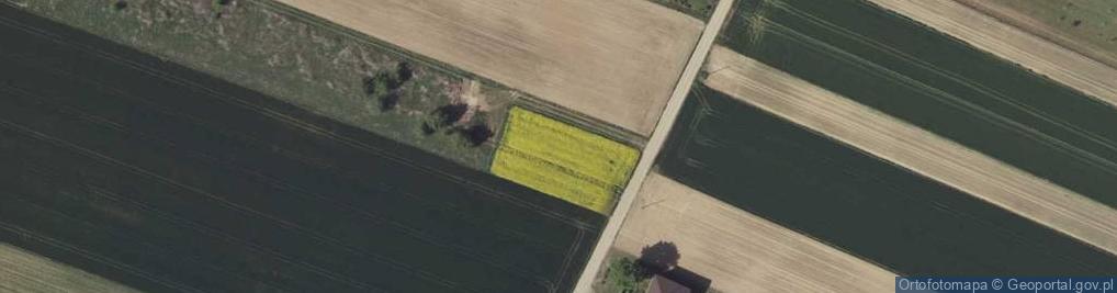 Zdjęcie satelitarne Strzeszkowice Duże ul.