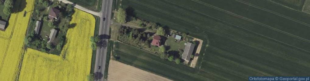 Zdjęcie satelitarne Strzeszkowice Duże ul.