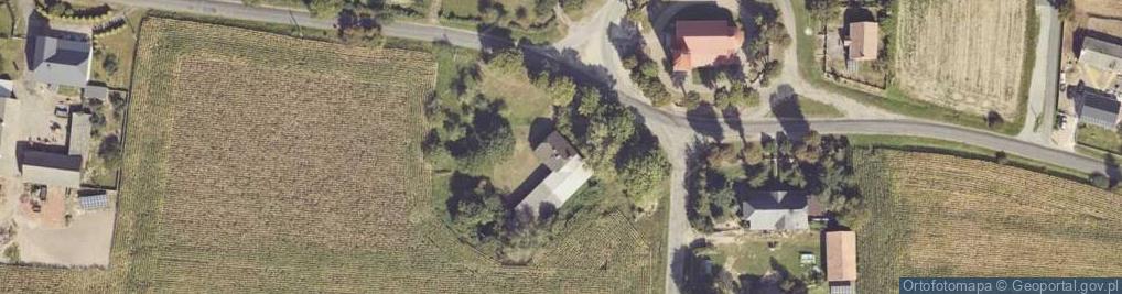 Zdjęcie satelitarne Strzydzew ul.
