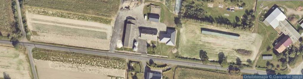 Zdjęcie satelitarne Strzydzew ul.