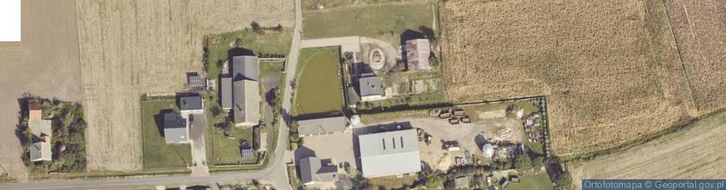 Zdjęcie satelitarne Strzydzew ul.
