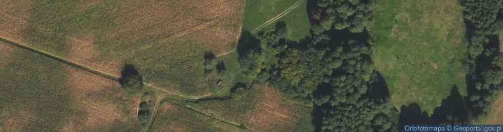 Zdjęcie satelitarne Strzygi ul.