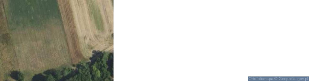 Zdjęcie satelitarne Strzyżew ul.