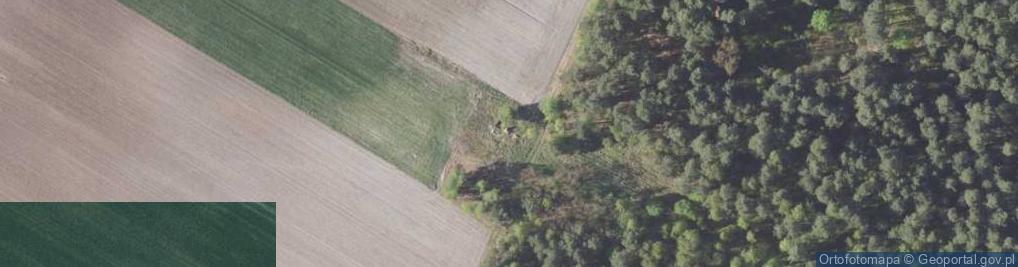 Zdjęcie satelitarne Studzianka ul.