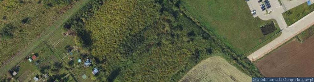 Zdjęcie satelitarne Stankiewicza Mamerta, kpt. ul.