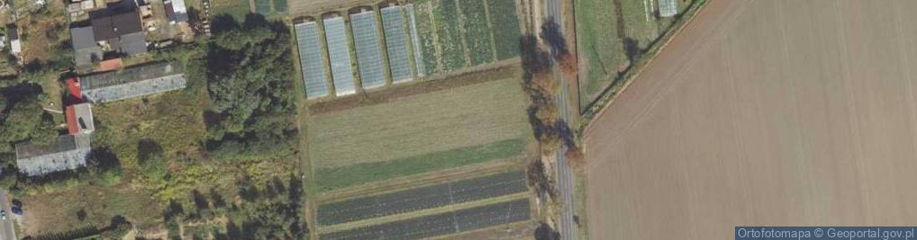 Zdjęcie satelitarne Strzałkowska ul.