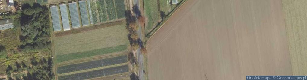 Zdjęcie satelitarne Strzałkowska ul.