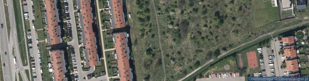 Zdjęcie satelitarne Strawińskiego Igora ul.