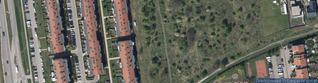 Zdjęcie satelitarne Strawińskiego Igora ul.