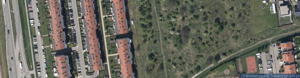 Zdjęcie satelitarne Strawińskiego Igora ul.