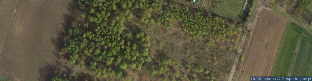 Zdjęcie satelitarne Stępowizna ul.