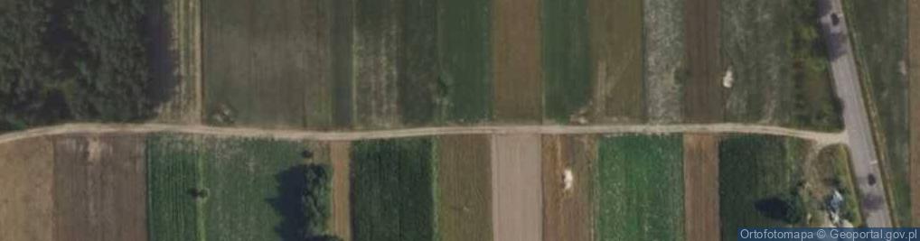 Zdjęcie satelitarne Sucha ul.